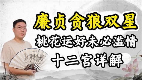 廉贞贪狼|紫微斗数廉贞贪狼